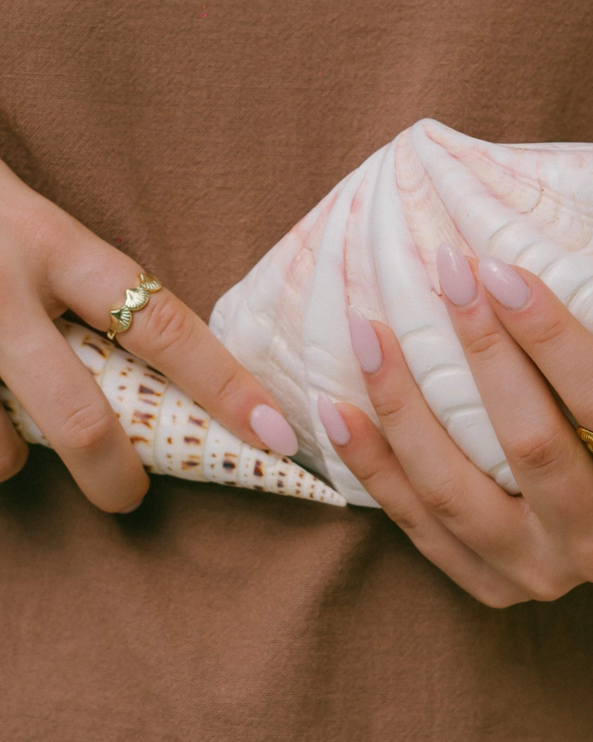 Shop the Avani Ring—adjustable gold ring with three scallop shells across the centre. Perfect for coastal-inspired style.