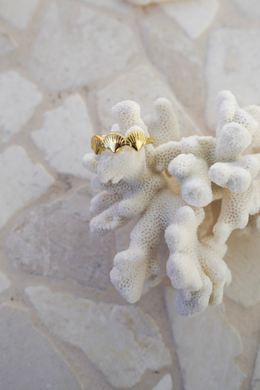 Add ocean charm to your look with the Avani Ring, featuring three scallop shells and an adjustable open-back design.