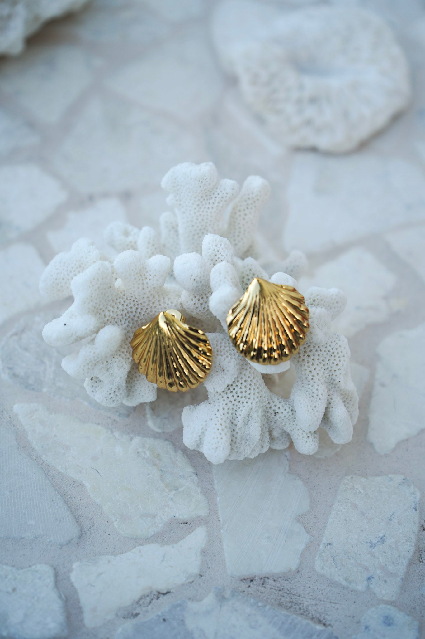 18k Gold Stainless Steel shell earrings, designed as a statement piece for the ocean lovers. Shop Jewellery by Malia the label
